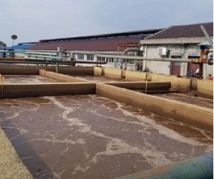 出水氨氮大于進水氨氮，怎么回事？