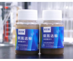 生化系統(tǒng)崩潰，氨氮超標(biāo)，我該怎么辦?