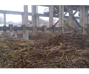 廣西來(lái)賓某堿氯法甘蔗渣制漿廠除COD、脫色案例分享