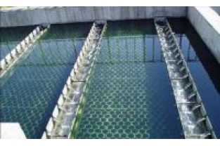 【干貨】生物濾池為什么一受沖擊氨氮去除率就會下降？